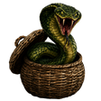 snakecharmer portrait